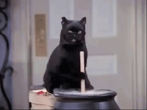 Salem, gato preto de Sabrina Spellman, marcou as gerações que acompanhavam a bruxa na infância