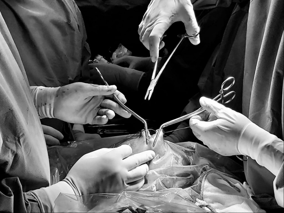 Cirurgia intrauterina