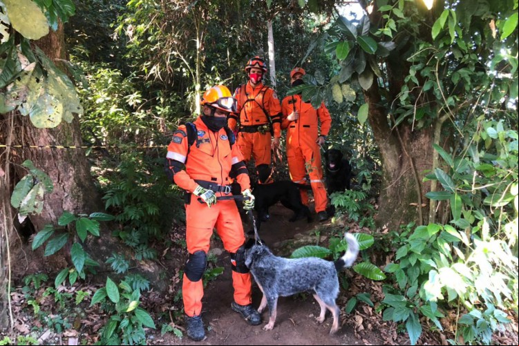 Agentes do Corpo de Bombeiros junto a cães que receberam certificação