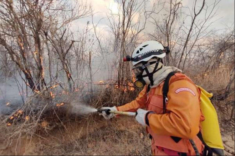 Ceará apresenta redução de 78% nos incêndios em vegetação nos primeiros quatro meses de 2022