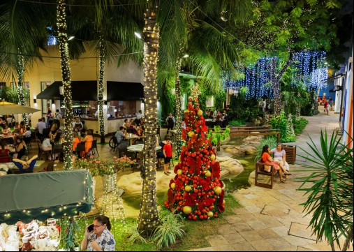História da árvore de Natal é marcada por controvérsias e religiosidade 