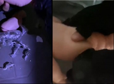 Droga estava escondida no interior de brinquedo de plástico 