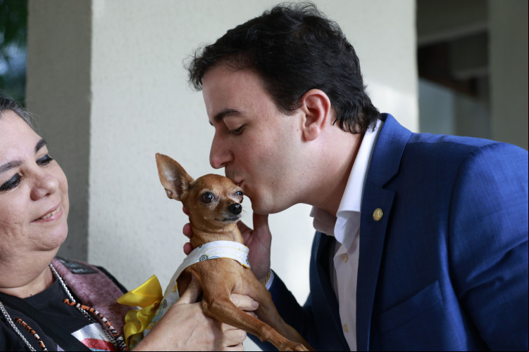 Projeto que inclui animais no Imposto de Renda deve tramitar na Assembleia