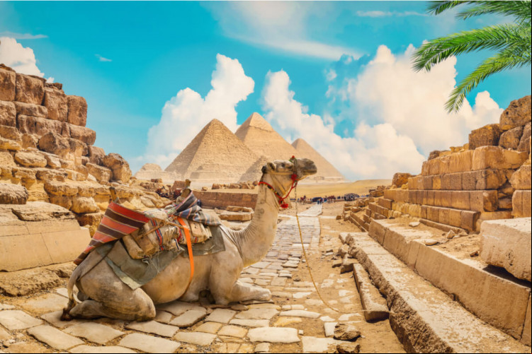 O Egito reúne paisagens únicas (Imagem: givaga | Shutterstock)
