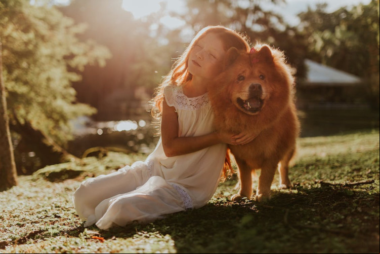 Tutores de animais domésticos devem ficar atentos aos primeiros sinais de estresse térmico; saiba como aliviar o calor do seu pet