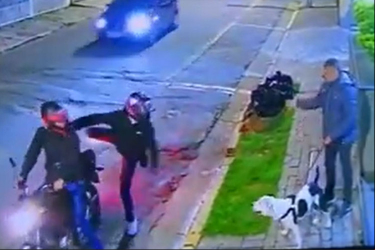 Cachorro atacou assaltantes para defender o dono em SP