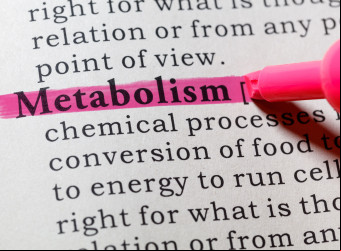 A prática acelera o metabolismo e faz com que o corpo use reservas de gordura como fonte de energia.