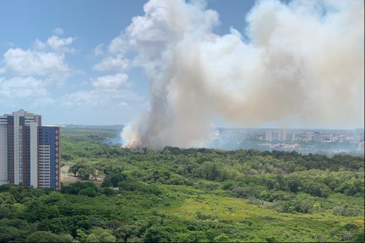 Incêndio no Parque do Cocó é registrado na manhã desta quinta-feira, 18