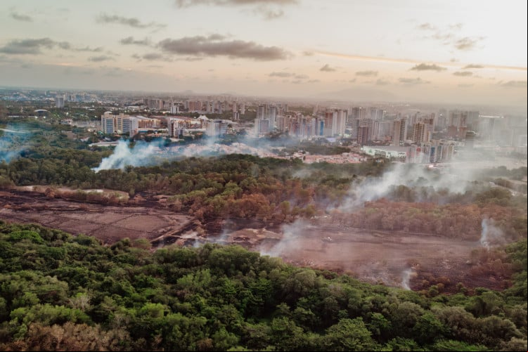 INCÊNDIO começou no Cocó na manhã de quinta-feira ada