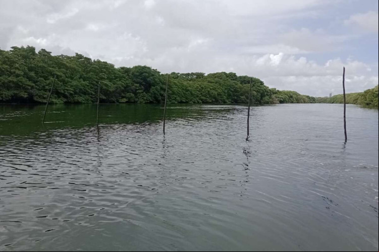 o equipamento colocado de maneira atravessada no leito do rio tem impacto negativo sobre a biodiversidade do local