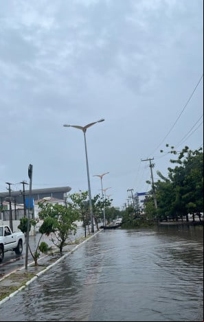 Árvore caída em frente aos Correios que fica na avenida Oliveira Paiva Árvore caída em frente aos Correios que fica na avenida Oliveira Paiva