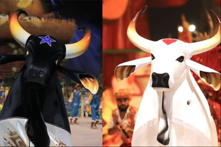 Rivalidade do Boi Garantido e do Boi Caprichoso marca o Festival de Parintins