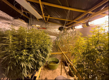 A equipe da PC-CE encontrou mudas de maconha, estufas, iluminação artificial e diversos materiais para o cultivo da planta 