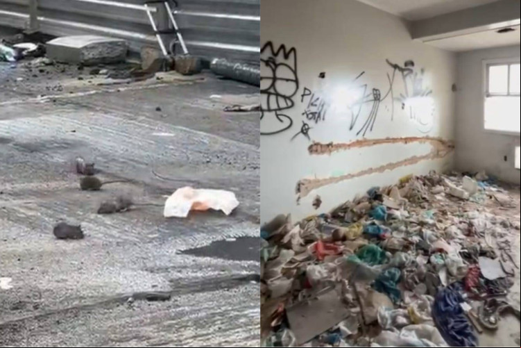 Equipe responsável pela demolição do Edifício São Pedro iniciou os trabalhos iniciais, incluindo a limpeza do prédio, nessa quarta-feira, 6