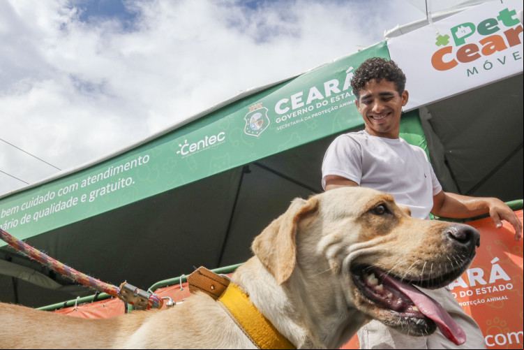 Nas unidades móveis estão sendo ofertados serviços de encoleiramento antiparasitário, castração e atendimento clínico aos animais de forma gratuita