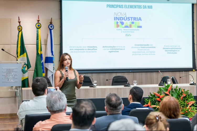 Rafaelly Fortunato apresentou as linhas de pesquisa e inovação para empresas