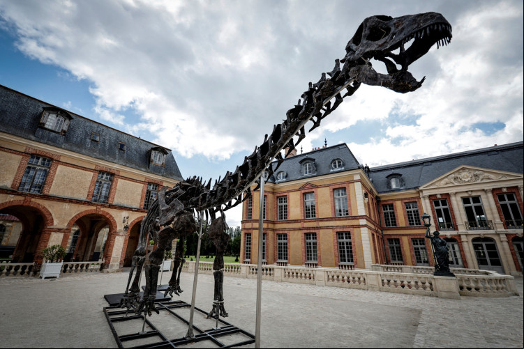 O esqueleto do dinossauro Apatossauro chamado 