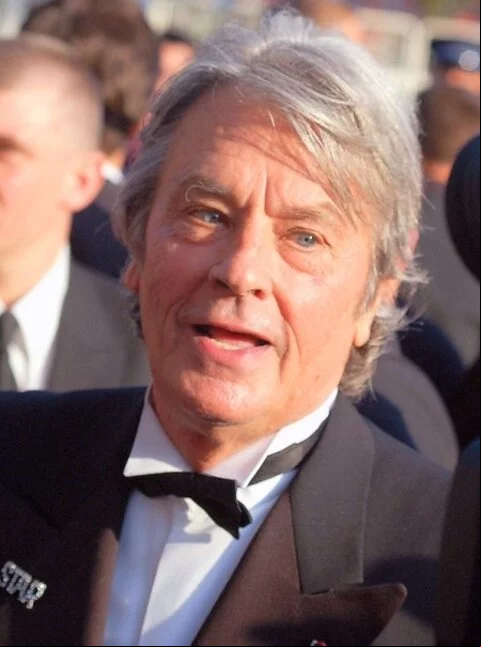 Christophe Ayela, advogado de Alain Delon, declarou que o ator não gostava de ter seu estado de saúde exposto publicamente e decidiu processar o filho por difamação, calúnia, assédio e ameaças.