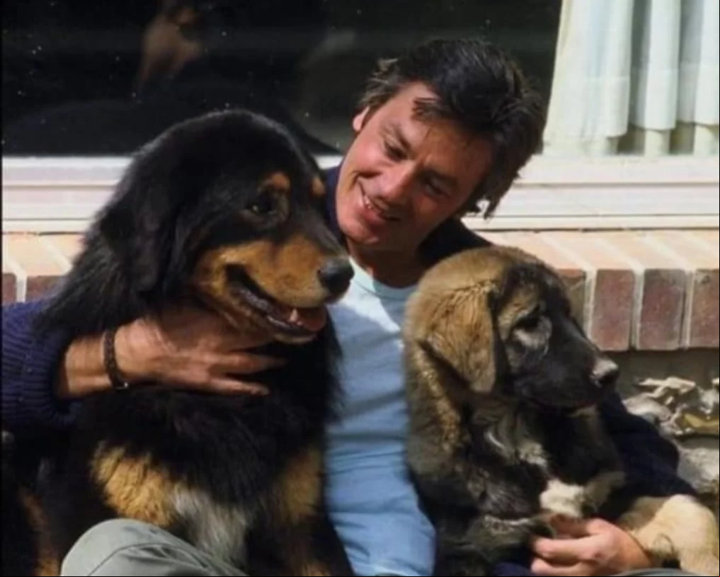 O cachorro um pastor-belga-malinois, adotado pelo francês em 2014, se chama Loubo e,embora houvesse outros animais do ator, era o seu preferido. Um dos apelos pela sobrevivência de Loubo partiu da Fundação Brigitte Bardot - atriz sa de renome mundial que defende animais.