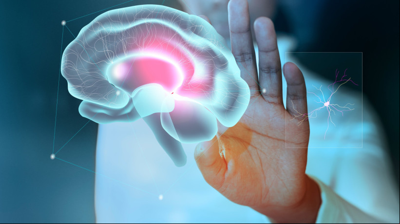 Fortaleza sedia o 48º Congresso da Sociedade Brasileira de Imunologia - NeuroImmunology 2024