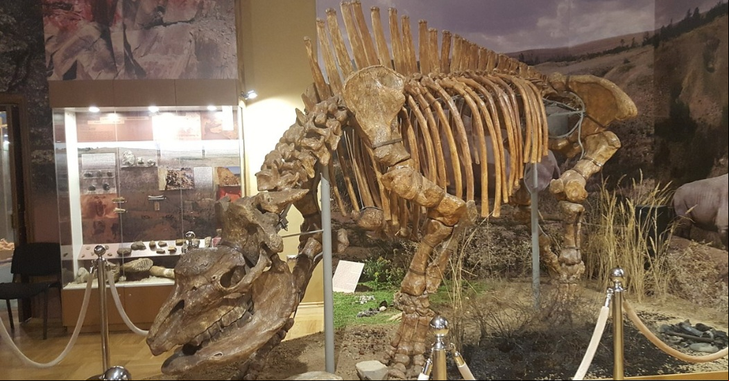 Pesquisadores descobriram um fóssil de unicórnio siberiano, datado de 29 mil anos, no Cazaquistão. Para quem estranha a informação porque sabe que unicórnios são seres míticos da ficção, os especialistas explicam: trata-se de um Elasmotherium sibiricum, nome dado à espécie, que, na verdade, era um enorme rinoceronte.