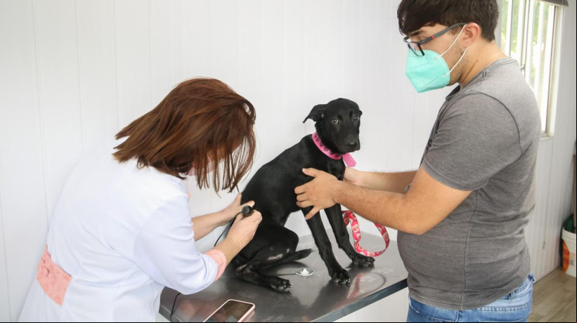 VetMóvel oferece serviços veterinários gratuitos no RioMar Kennedy