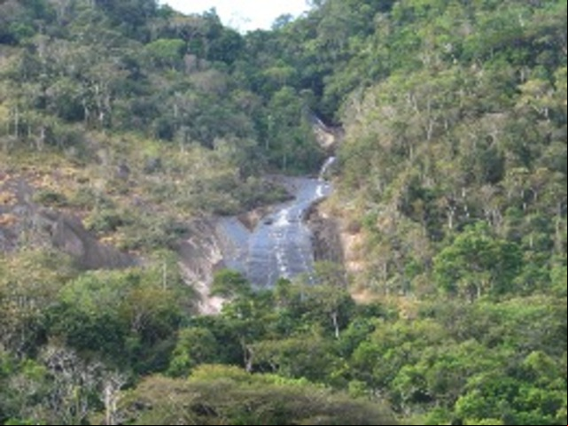 Desde 2016, uma equipe da SAVE Brasil monitora a espécie na Estação Ecológica de Murici, em Alagoas, onde vivem as choquinhas remanescentes. A área de preservação, criada em 2001, é um refúgio de Mata Atlântica.