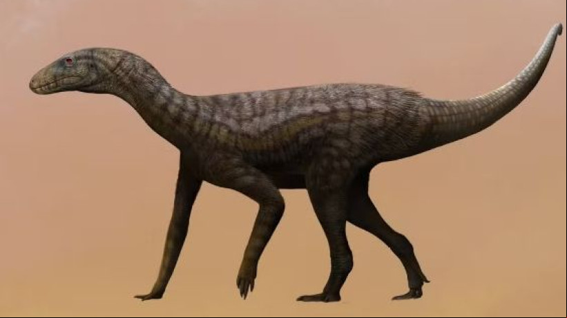 Gondwanax paraisensis