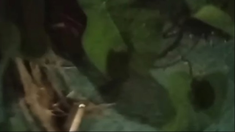 Vídeo gravado instantes após o crime mostra cápsulas de arma de fogo no local em que um homem foi morto e outros dois feridos em Beberibe