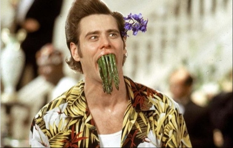 Ainda em 1995, Jim Carrey estrelou Ace Ventura 2 - Um Maluco na África, como o detetive de animais que tenta recuperar um morcego albino muito especial.