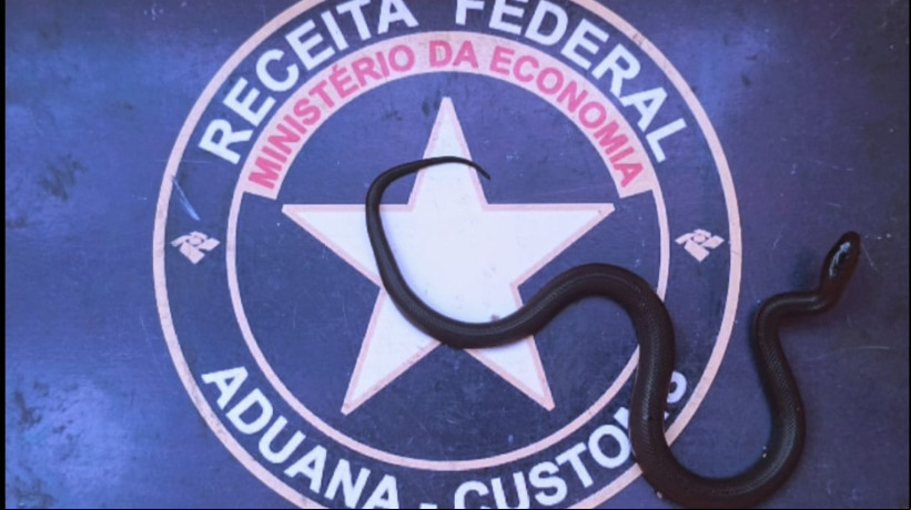 A encomenda partiu de Governador Mangabeira, da Bahia, com destino à Juazeiro do Norte, no Ceará
