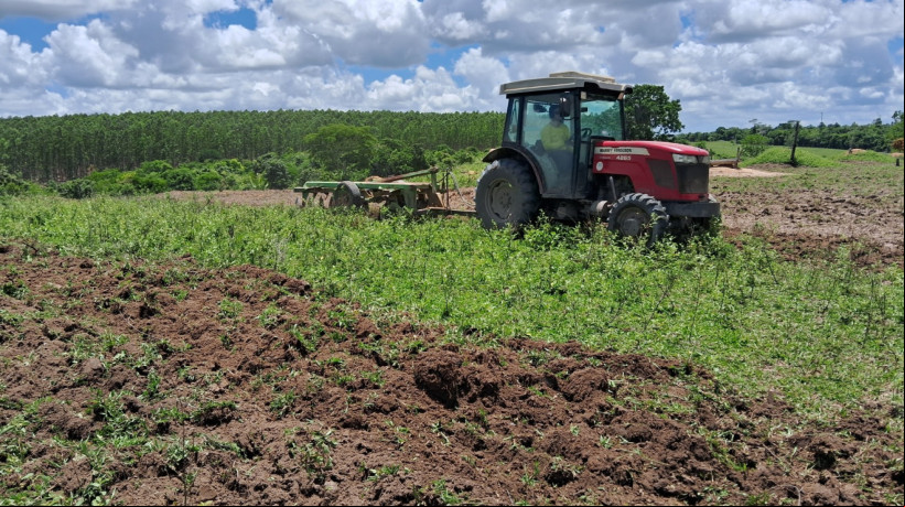 Projeto quer aproveitar quadra chuvosa para recuperar áreas degradadas da Caatinga