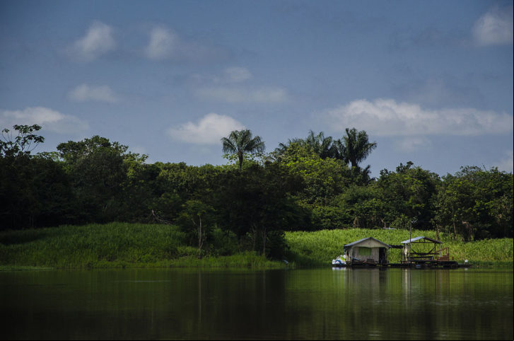 Lago do Janauari (Manaus): Famoso por sua rica biodiversidade, esse lago oferece um refúgio para quem busca contato com a natureza.