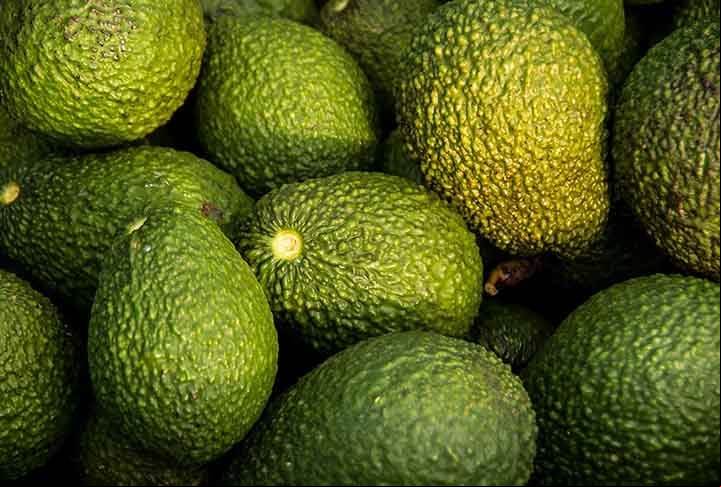 Os abacates são nativos da América Central e do Sul, onde o clima quente e temperado fornece condições de cultivo ideais. Com isso, existem centenas de variedades, mas a mais conhecida é a Hass.