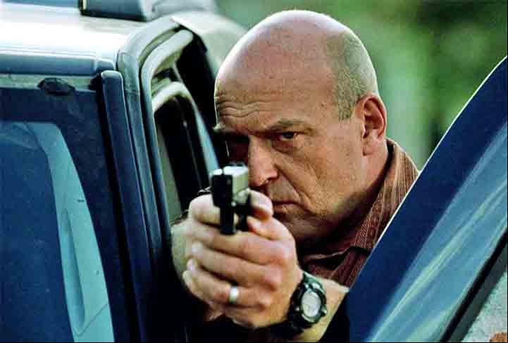 Outros membros do elenco, como Anna Gunn (Skyler White), Dean Norris (Hank Schrader) e Bob Odenkirk (Saul Goodman), também contribuíram significativamente para a profundidade e complexidade da série.