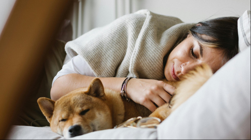 A presença dos animais no quarto não é um grande problema, mas na cama é diferente; entenda motivos
