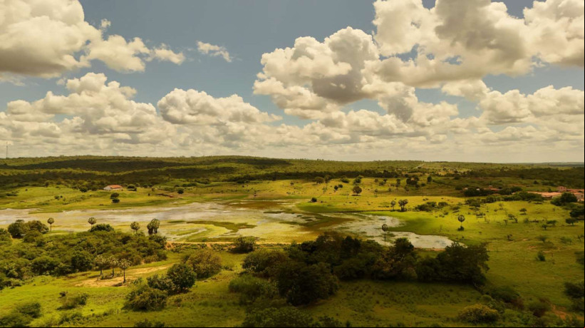 Foto de apoio ilustrativo: Ceará tem 77 municípios com registro pluviométrico nesta quarta-feira, 21. Tauá, no Sertão Central e Inhamuns, registrou o maior índice, com 137, 2 milímetros (mm)