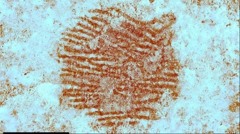 Um fragmento de pedra revela a mais antiga impressÃ£o digital humana jÃ¡ encontrada: um neandertal deixou sua marca hÃ¡ 43 mil anos na Espanha 